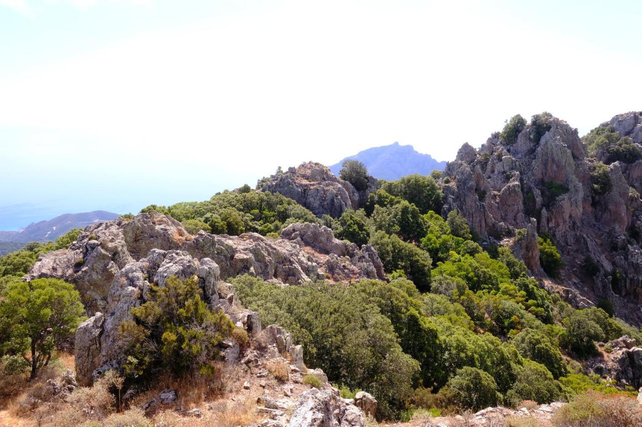 B&B Cardedu Dış mekan fotoğraf